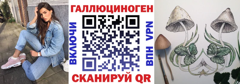 Галлюциногенные грибы Psilocybe  кракен онион  Саратов 