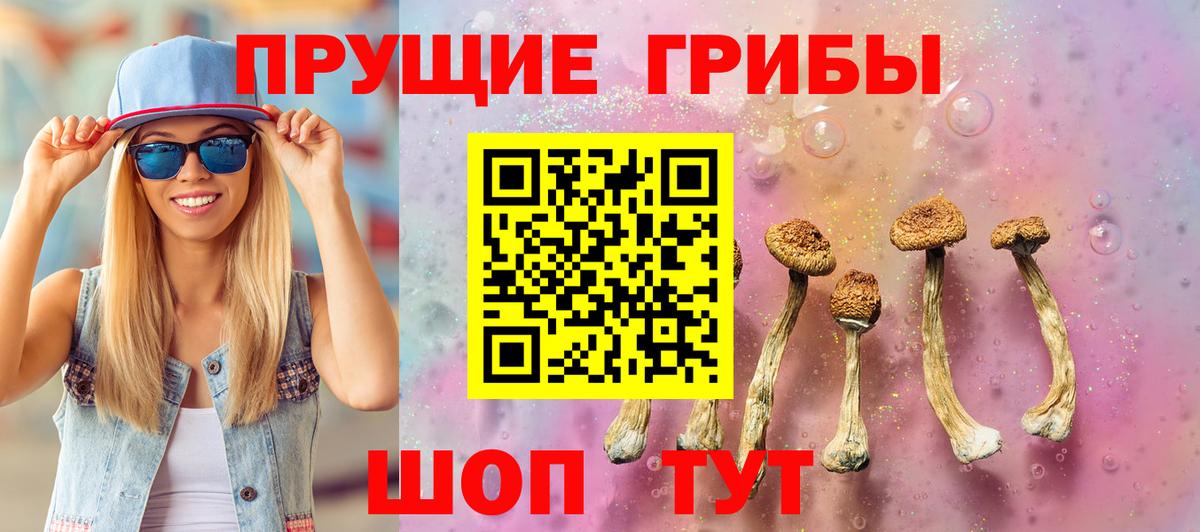 Псилоцибиновые грибы Psilocybine cubensis  Саратов 